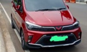 Wuling confero